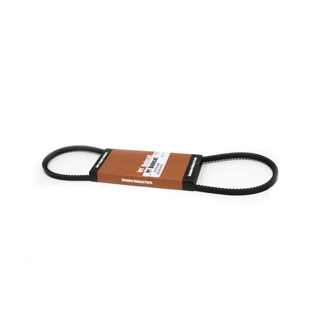 Alternator Belt, 6675839