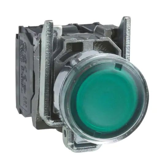 Pulsante luminoso verde Ø22 – filoghiera ad impulso – 250V – 1NO+1NC – XB4BW3365